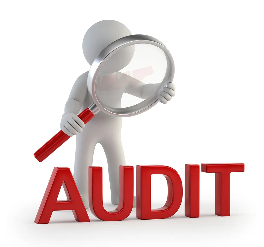 Submission Audit Team